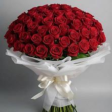 Букет 101 Красная роза Блэк Мэджик в Мацеста