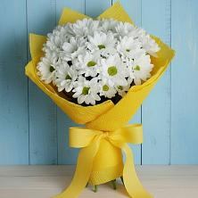 Букет цветов из:  Хризантемы в Мацеста
