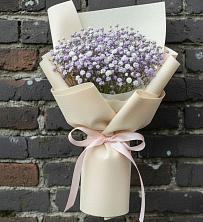 Букет цветов из:  Гипсофила в Мацеста