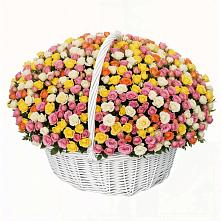 Премиум букет из: Розы в Мацеста