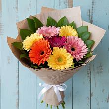 Букет цветов из:  Герберы #REPLACE_PRED# Мацеста