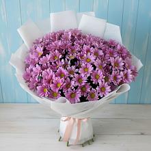 Букет цветов из:  Хризантемы в Мацеста