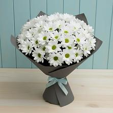 Букет цветов из:  Хризантемы в Мацеста