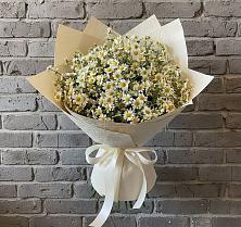 Букет цветов из:  Ромашки #REPLACE_PRED# Мацеста