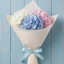 Букет цветов из:  Гортензия в Мацеста