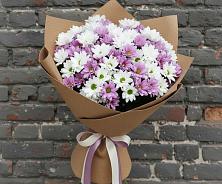 Букет цветов из:  Хризантемы в Мацеста