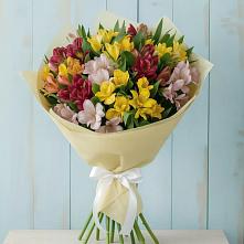 Букет цветов из:  Альстромерии #REPLACE_PRED# Мацеста