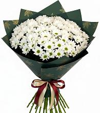 Букет цветов из:  Хризантемы в Мацеста