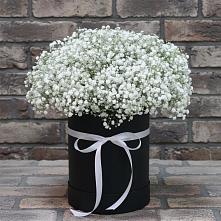 Цветочная композиция из Гипсофила в шляпной коробке в Мацеста