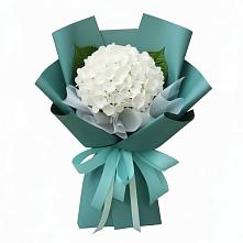 Букет цветов из:  Гортензия #REPLACE_PRED# Мацеста